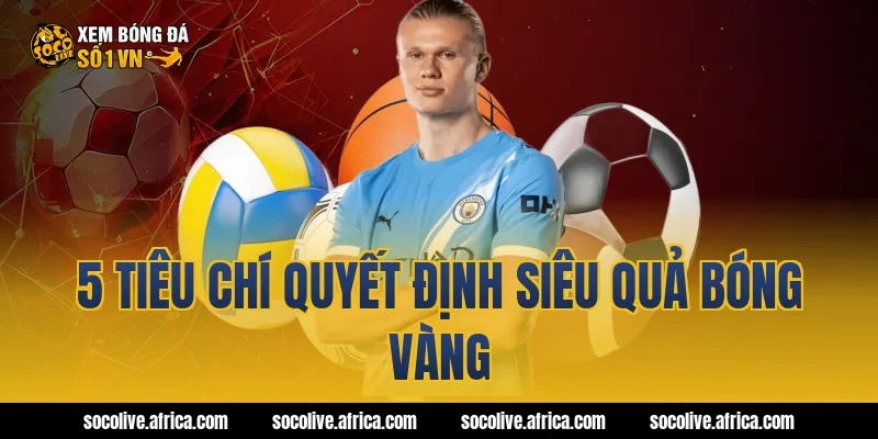 5 tiêu chí quyết định siêu quả bóng vàng