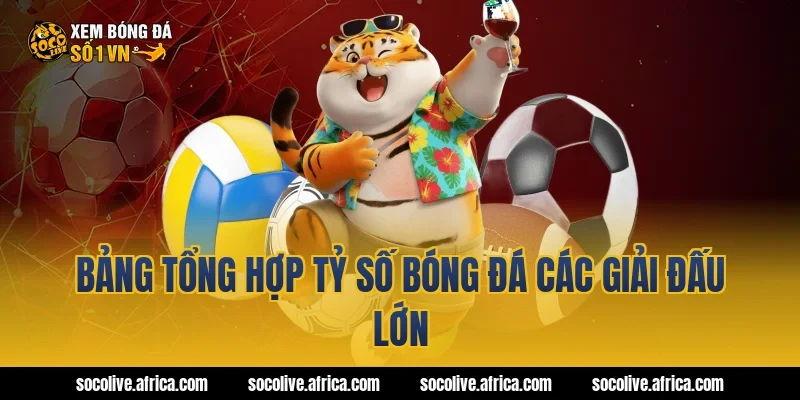 Bảng tổng hợp tỷ số bóng đá các giải đấu lớn