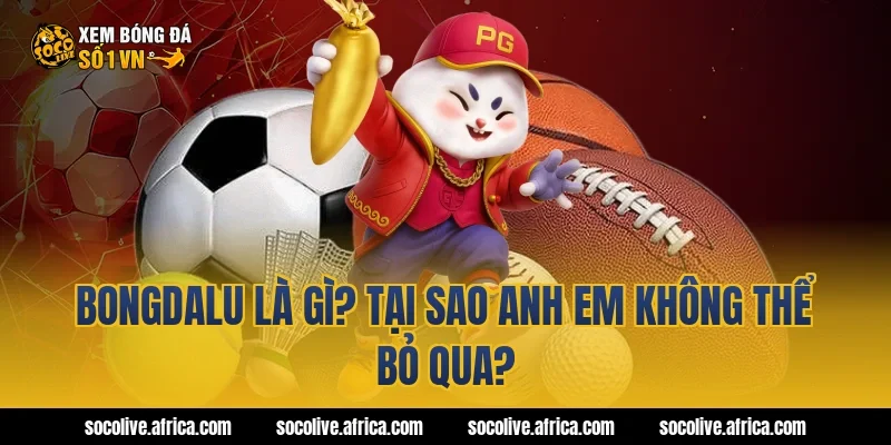 Bongdalu là gì? Tại sao anh em không thể bỏ qua?