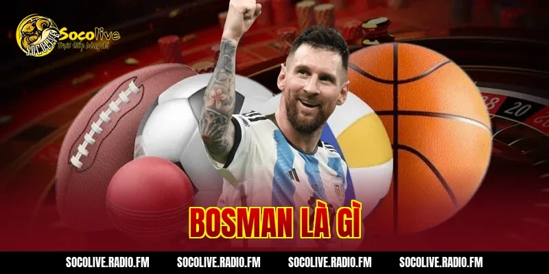 Bosman Là Gì