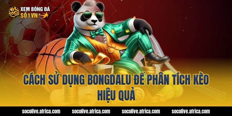 Cách sử dụng Bongdalu để phân tích kèo hiệu quả