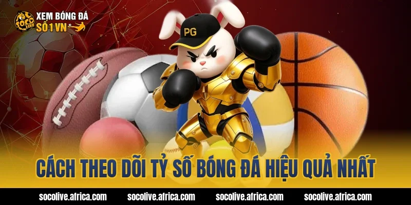 Cách theo dõi tỷ số bóng đá hiệu quả nhất