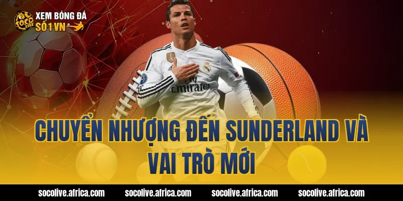 Chuyển nhượng đến Sunderland và vai trò mới