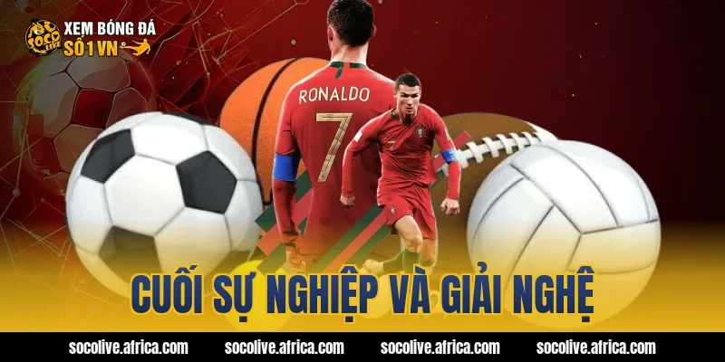 Cuối sự nghiệp và giải nghệ