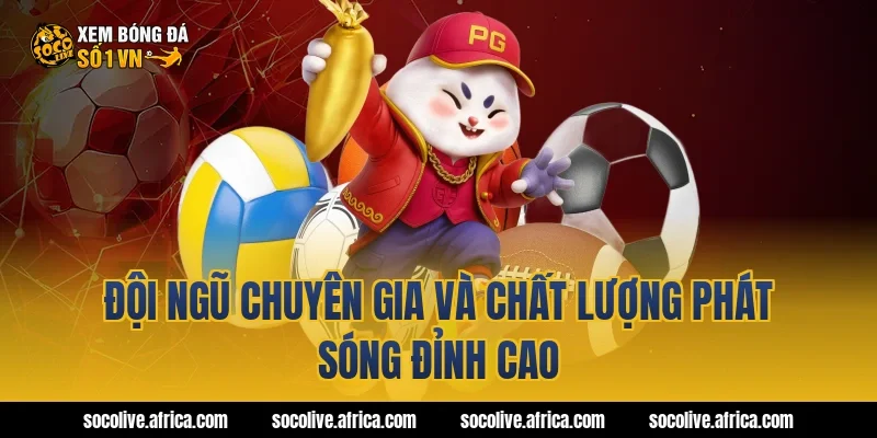 Đội ngũ chuyên gia và chất lượng phát sóng đỉnh cao