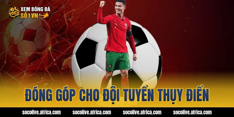 Đóng góp cho đội tuyển Thụy Điển