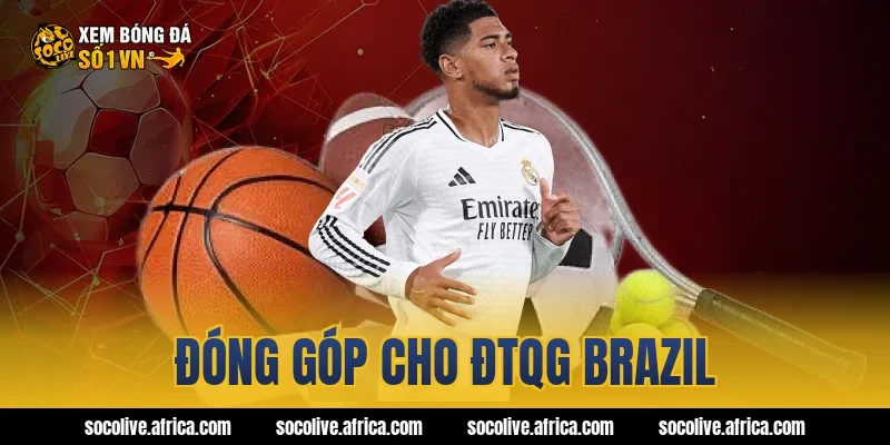 Đóng góp cho ĐTQG Brazil