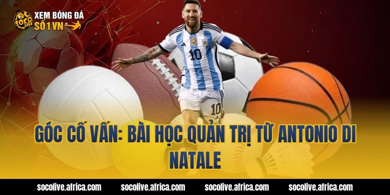 Góc Cố Vấn: Bài học quản trị từ Antonio Di Natale