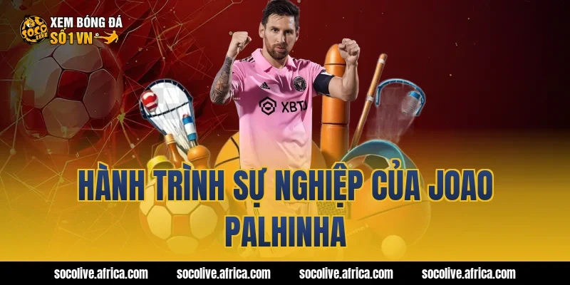 Hành trình sự nghiệp của Joao Palhinha