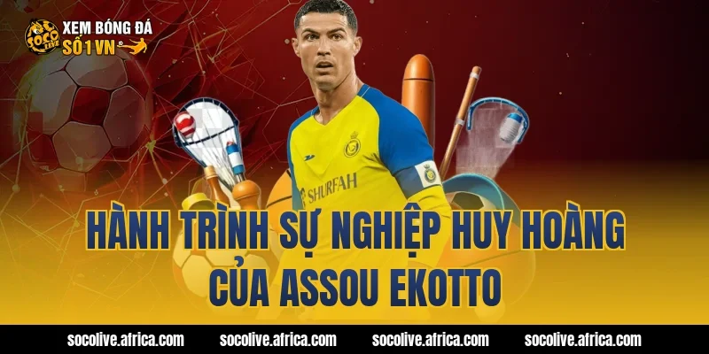 Hành Trình Sự Nghiệp Huy Hoàng Của Assou Ekotto