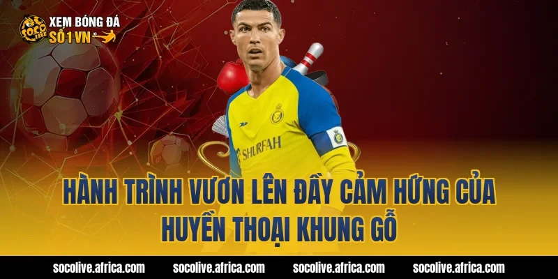 Hành Trình Vươn Lên Đầy Cảm Hứng Của Huyền Thoại Khung Gỗ