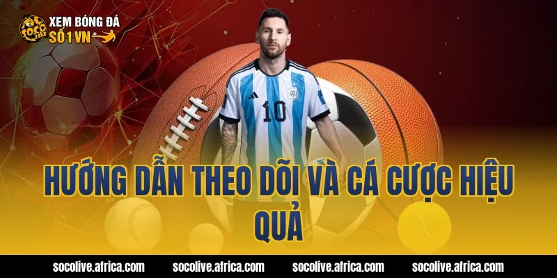 Hướng dẫn theo dõi và cá cược hiệu quả