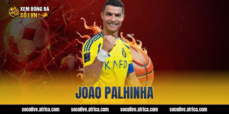joao palhinha