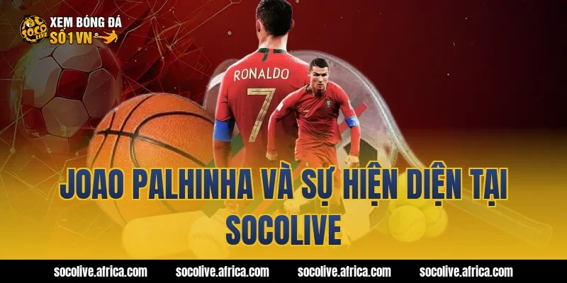 Joao Palhinha và sự hiện diện tại Socolive