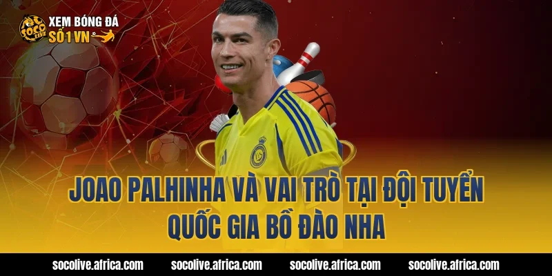 Joao Palhinha và vai trò tại đội tuyển quốc gia Bồ Đào Nha