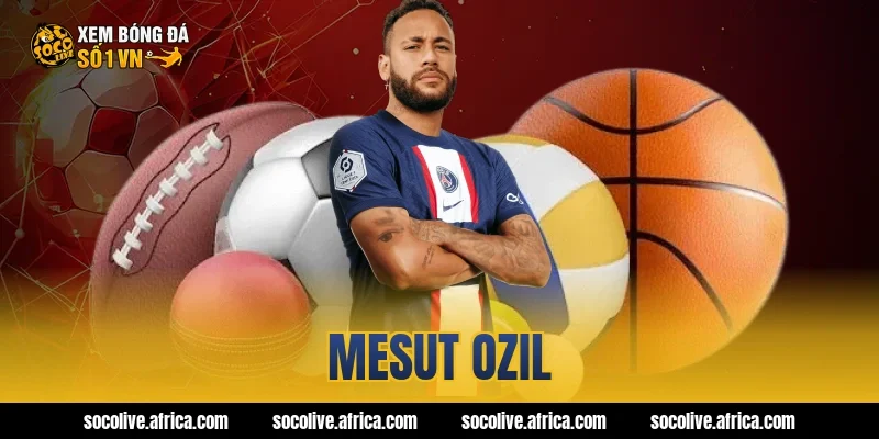 mesut ozil