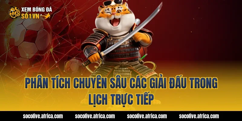 Phân Tích Chuyên Sâu Các Giải Đấu Trong Lịch Trực Tiếp
