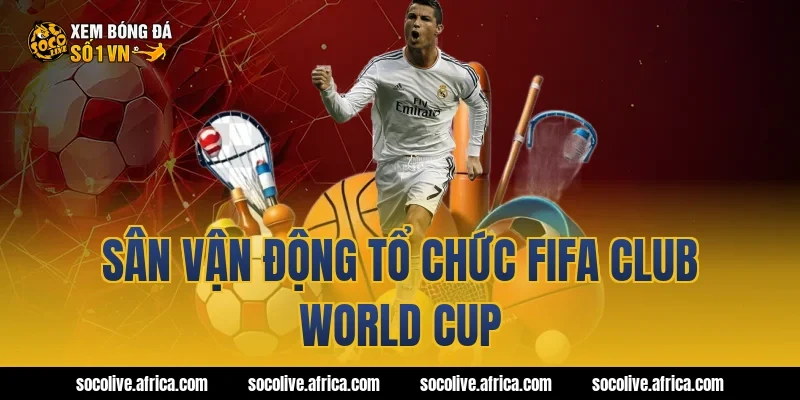 Sân vận động tổ chức fifa club world cup