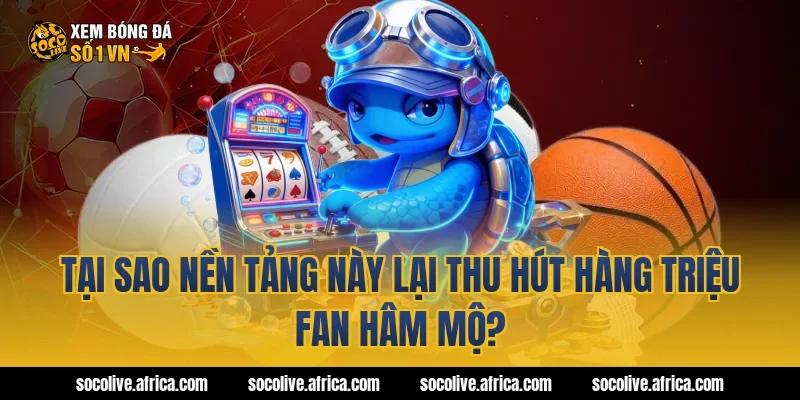 Tại sao nền tảng này lại thu hút hàng triệu fan hâm mộ?