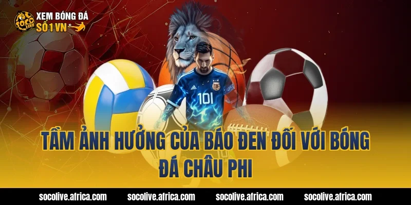 Tầm Ảnh Hưởng Của Báo Đen Đối Với Bóng Đá Châu Phi