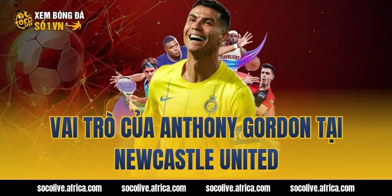 Vai trò của Anthony Gordon tại Newcastle United