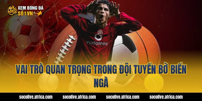 Vai trò quan trọng trong đội tuyển Bờ Biển Ngà